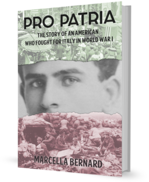 Book Cover for Pro Patria